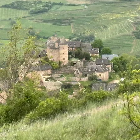 Entre Causse Et Vallon, Confort Pour 4 Personnes Dans Grange Renovee Au Coeur De L'aveyron Salles-la-Source